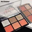 blush highlighter palette
